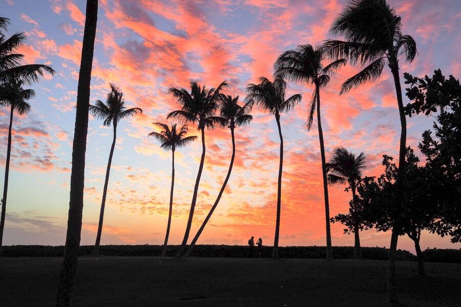 Oahu: West Oahu Sunset Cruise with Cocktails and Appetizers - Why this west Oahu sunset cruise works