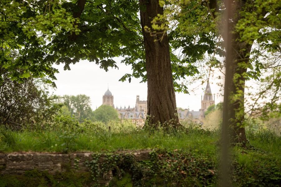 Oxford: Evening Sightseeing River Cruise with a Cocktail - Is $35 a fair price?