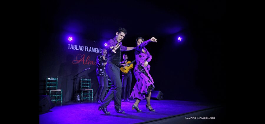 Palma: Flamenco Show at Tablao Flamenco Alma with Drink - Key points to know before you book