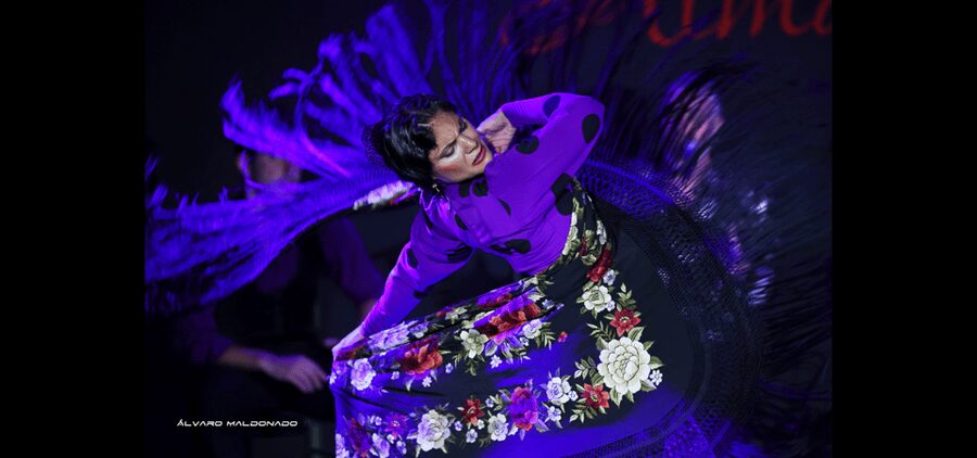 Palma: Flamenco Show at Tablao Flamenco Alma with Drink - Planning the evening around the show