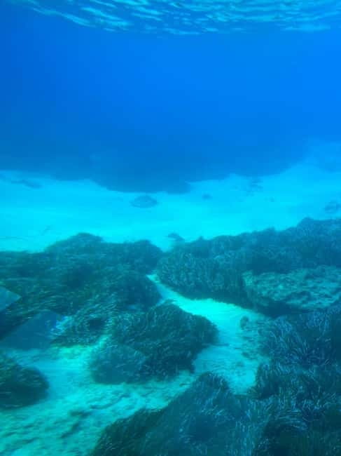 Paphos: Sunset Cruise, Turtle Watching, & Unlimited Drinks - Who should book this cruise?