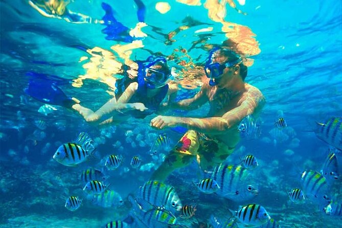 Party Boat Catamaran with Snorkeling from Punta Cana - Group size, private events, and who gets the best value