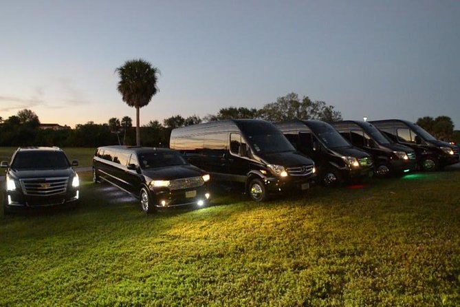Party Bus Luxury Sprinter Limos - What makes the vehicle useful for celebrations