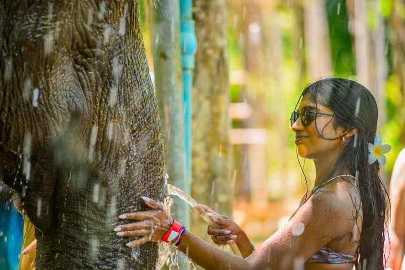 Phuket: Happy Hour Feed and Rain Shower with Elephant - Meeting elephants at Lily Elephant Camp Phuket