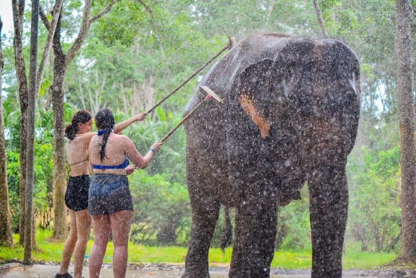 Phuket: Happy Hour Feed and Rain Shower with Elephant - The rain shower with the elephants