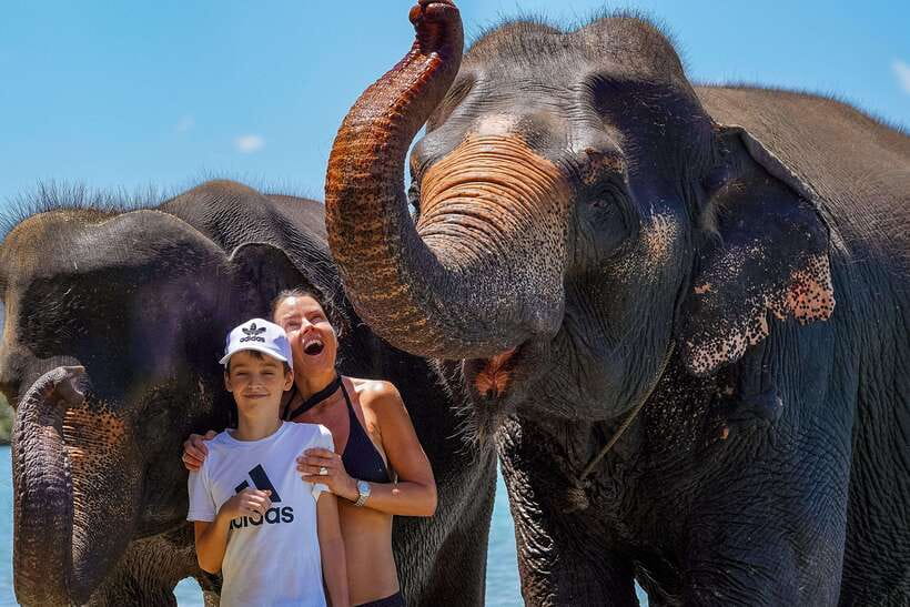 Phuket: Happy Hour Feed and Rain Shower with Elephant - Why the no-riding policy matters