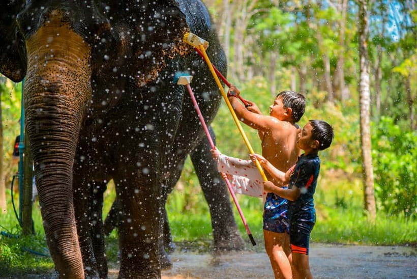 Phuket: Happy Hour Feed and Rain Shower with Elephant - What is included for the $37 price