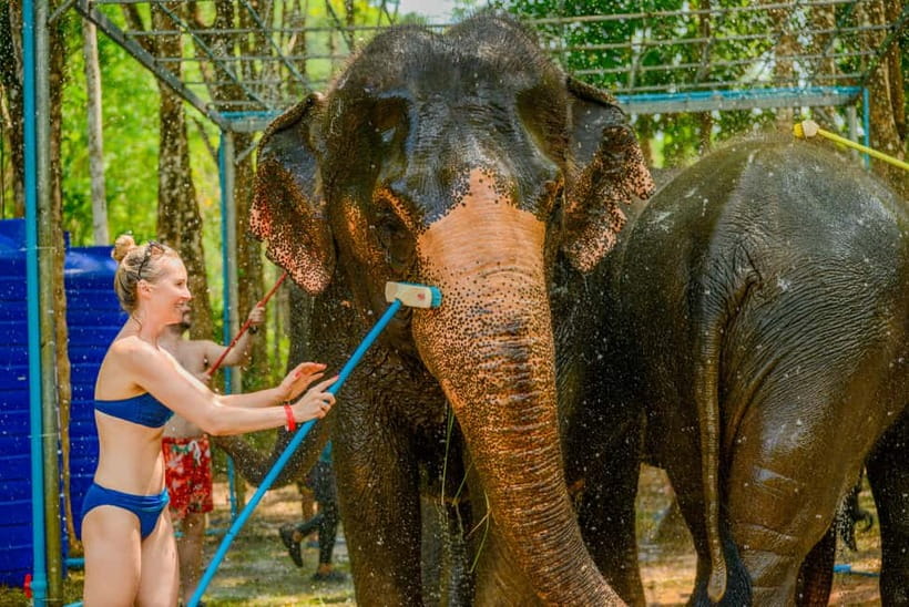 Phuket: Happy Hour Feed and Rain Shower with Elephant - Who will enjoy this Phuket activity