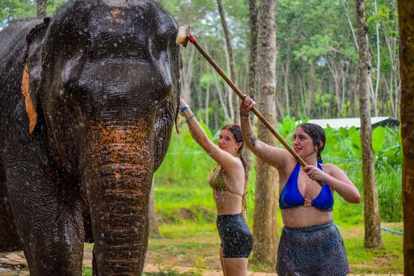Phuket: Happy Hour Feed and Rain Shower with Elephant - Booking, cancellation, and final practical checks