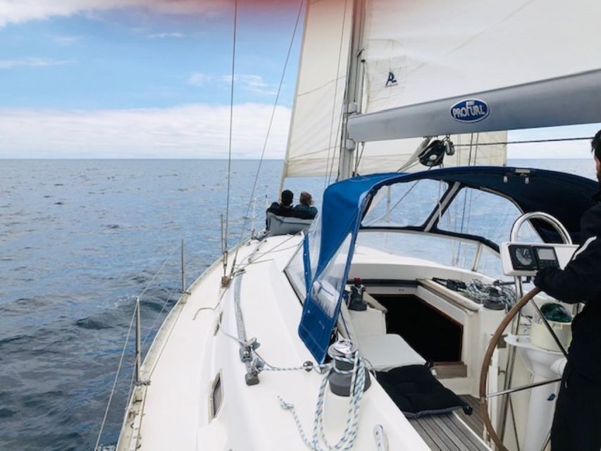 Ponta Delgada Full Day Sailing Tour with Drinks and Snacks - Is $1,155 a good value?