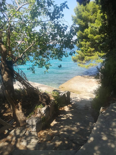 Private Island Hopping Boat tour around Zadar with Drinks - My verdict: book it for a private water day