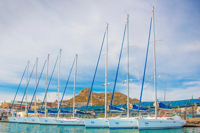 Private Luxury Sailing Cruise in Los Cabos with Lunch and Open Bar - Should You Book This Los Cabos Sailing Cruise?