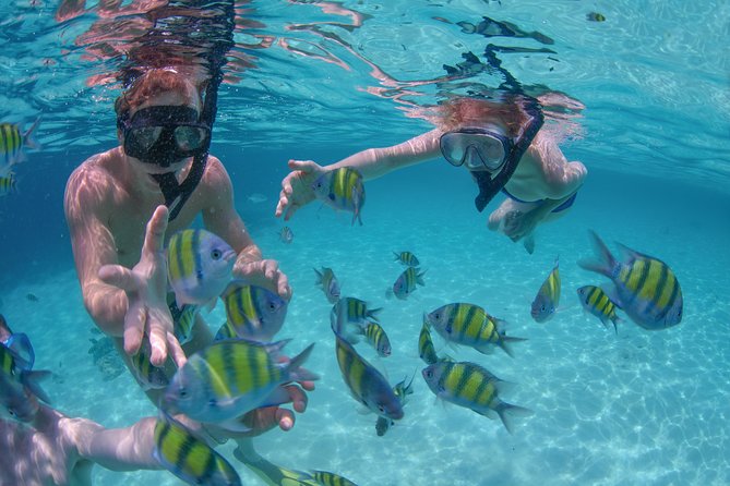 Private Luxury Sailing Cruise in Los Cabos with Lunch and Open Bar - Swimming, Snorkeling, and Paddleboards