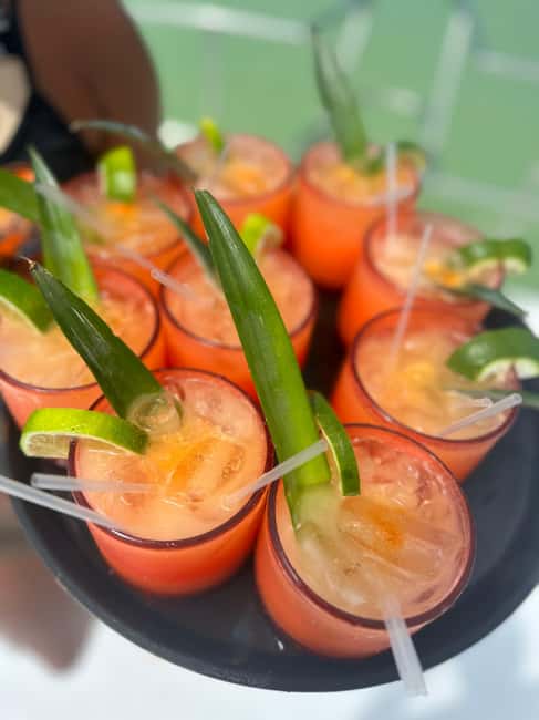 Private Party Boat Tour with Drinks and Snacks in Punta Cana - Sailing the Bavaro Coast With Music