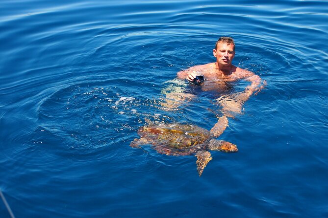 Private Sailing - dolphin Experience Estepona - drink & food - 4h - What the possible destinations really mean