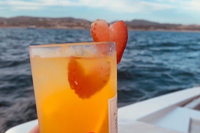 Private Sunset Cruise in San Jose del Cabo Appetizers,open bar - Is $200 per person a fair price?