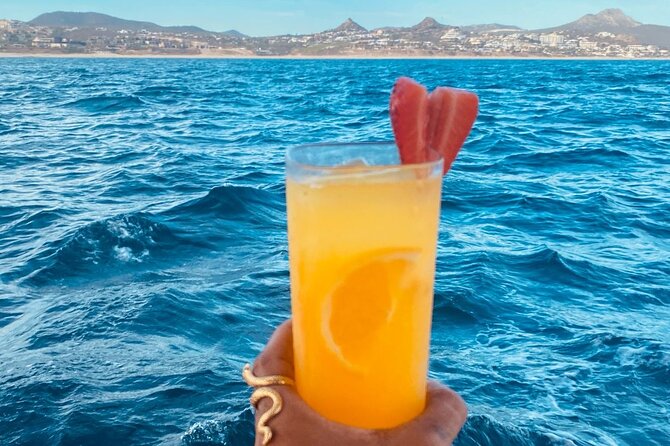 Private Sunset Cruise in San Jose del Cabo Appetizers,open bar - Who will enjoy this cruise most
