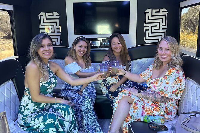 Private Vineyard Tour in Party Bus (4 Vineyards), Includes Lunch - A party bus built for a private day