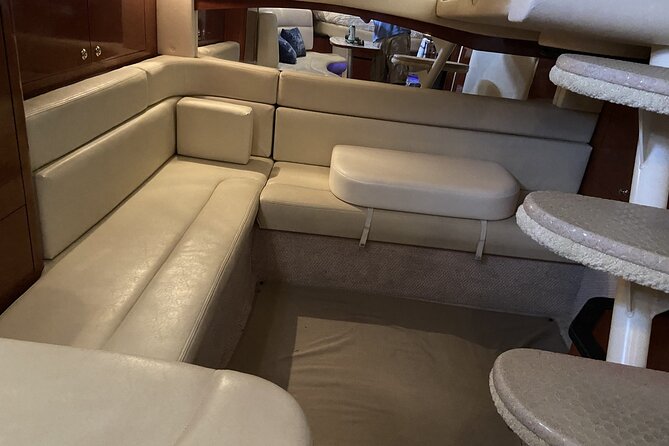 Private Yacht in Punta Cana, Unlimited Drinks and HipHop Music - A dolphin-viewing area with no guarantee of sightings