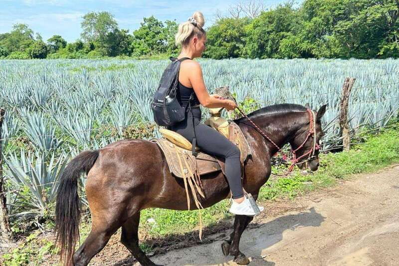 Puerto Vallarta: Horseback Riding, Lunch & Unlimited Drinks - What the $145 price includes