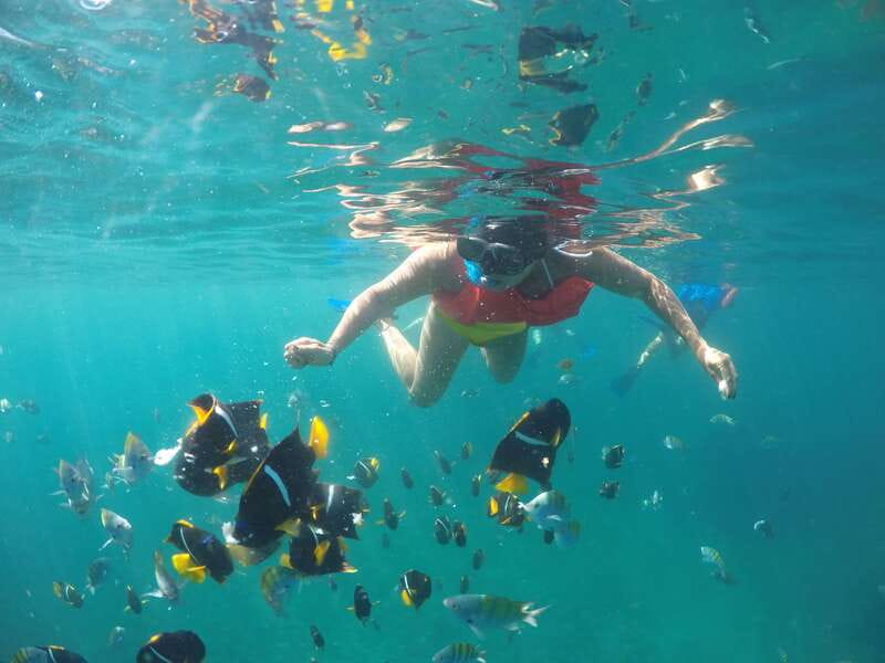 Puerto Vallarta: Luxury Yacht Tour with Lunch and Open Bar - Key Points to Know Before You Book