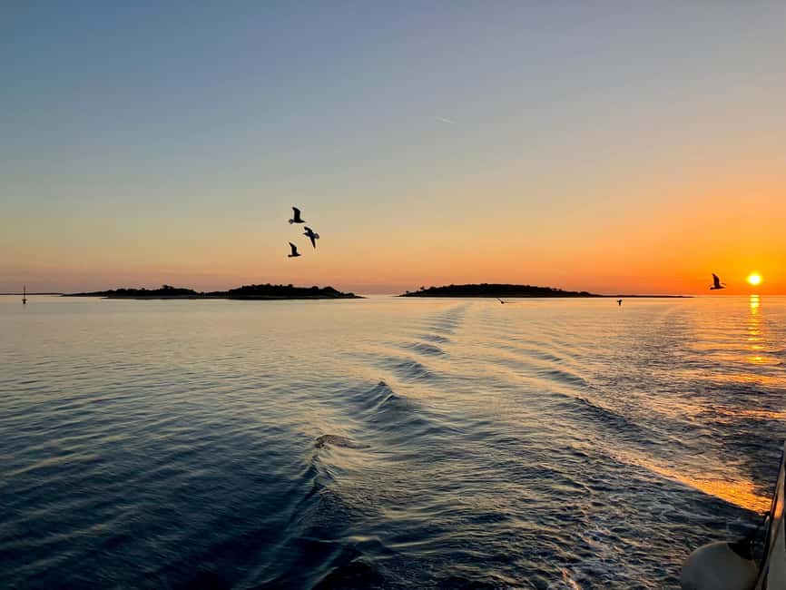 Pula: Brijuni National Park Sunset Cruise with Open Bar - Watching for dolphins in open water