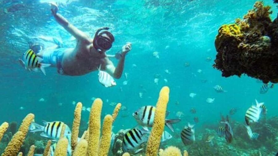 Punta Cana: Party Boat and Snorkeling Adventure - Hotel pickup and the ride to Bávaro Beach