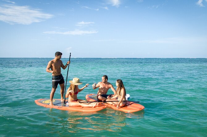 Punta Cana Private Catamaran Cruise with Drinks and Light Snacks - Punta de los Nidos is built for the boat slide