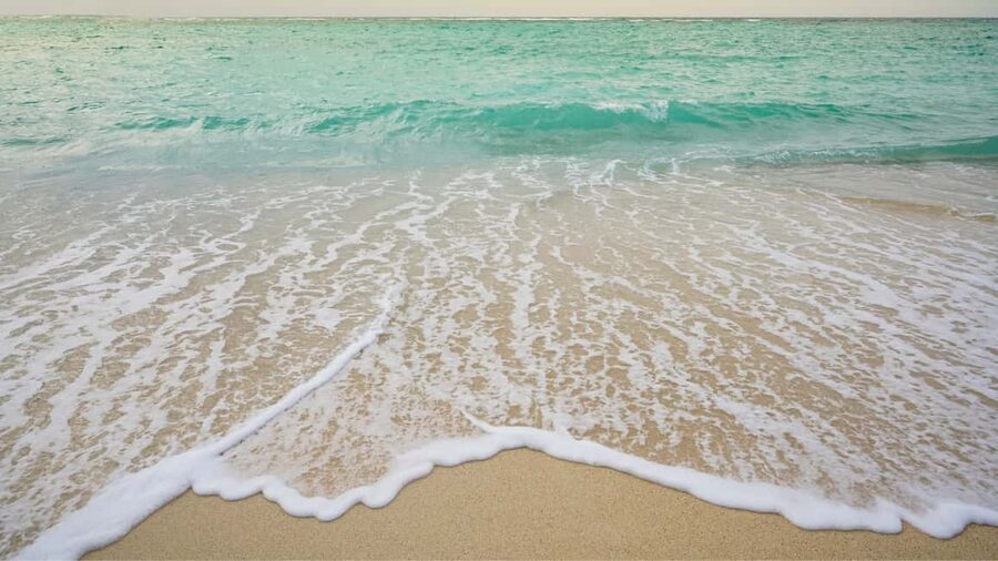 Punta Cana: Saona Island Catamaran Tour with Food & Open Bar - The 30-minute Natural Swimming Pool stop