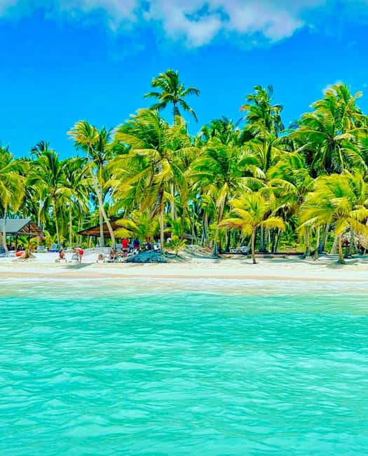 Punta Cana: Saona Island VIP | Private Beach, Open Bar & Lunch - Reaching the private beach area on Saona