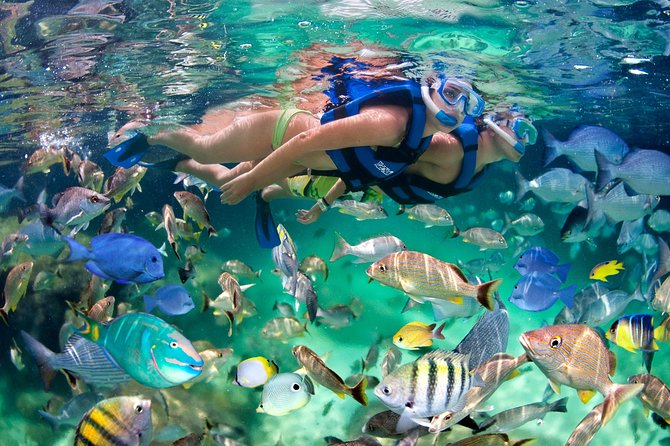 Punta Cana Snorkeling Party Cruise - Timing, weather, and small practical details