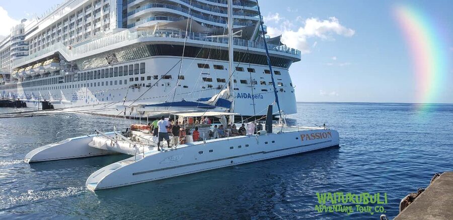 Roseau: Guided Dolphin and Whale Watching Tour With Drinks - Getting wet is part of the bargain