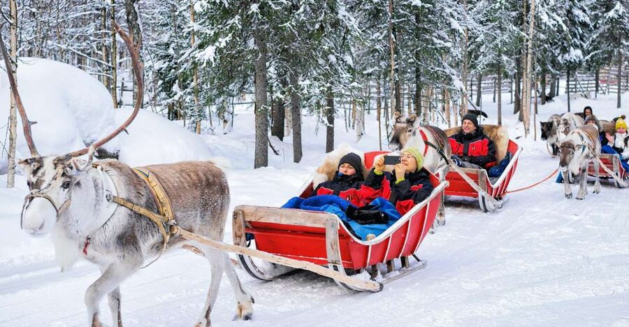 Rovaniemi: Reindeer Sleigh Ride with Hot Drink and Cookies - Pickup from your accommodation and the drive to the farm
