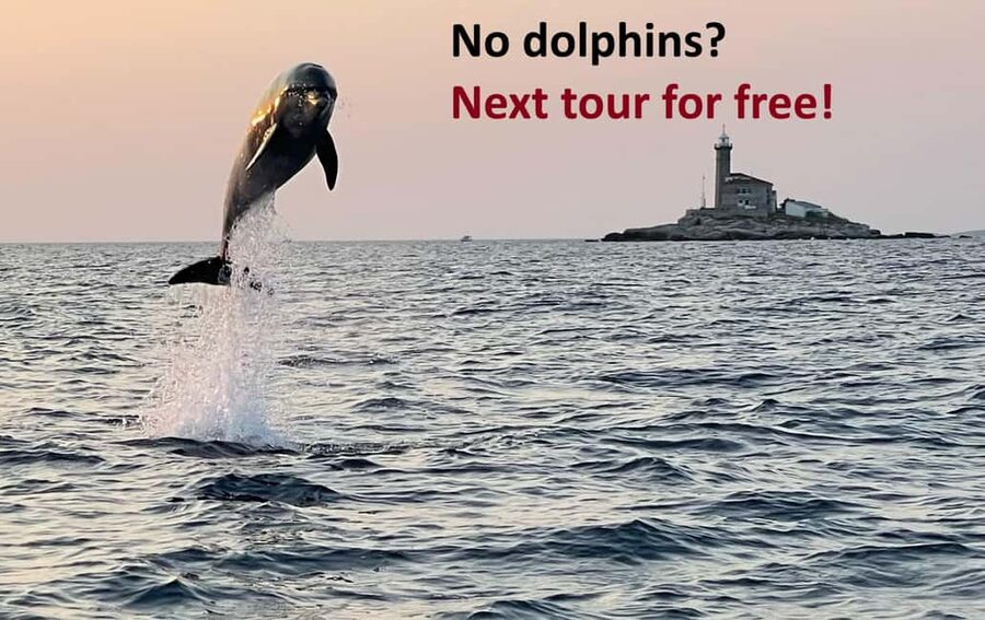 Rovinj: Dolphin Watching Sunset Speedboat Tour with Drinks - A short cruise around Rovinj’s old town