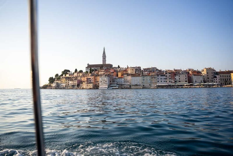Rovinj: Dolphin Watching Sunset Speedboat Tour with Drinks - Forty-five minutes with the dolphins