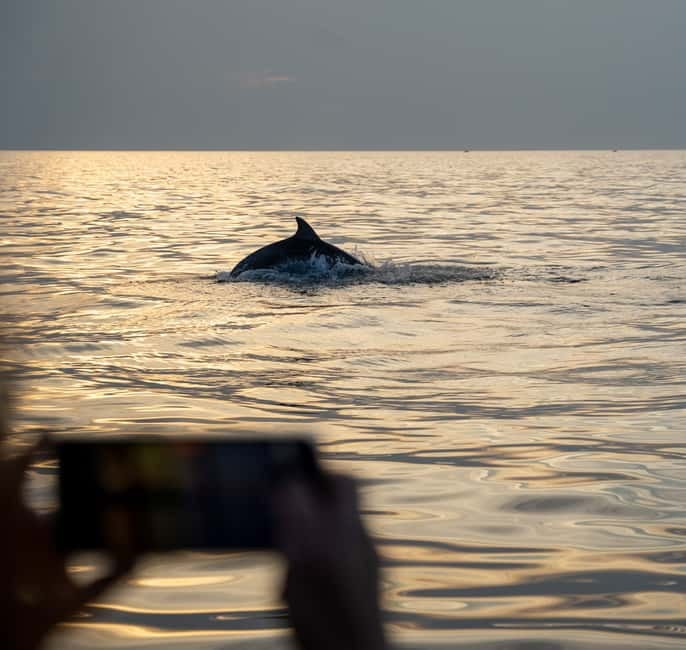 Rovinj: Dolphin Watching Sunset Speedboat Tour with Drinks - Who will enjoy this boat trip most