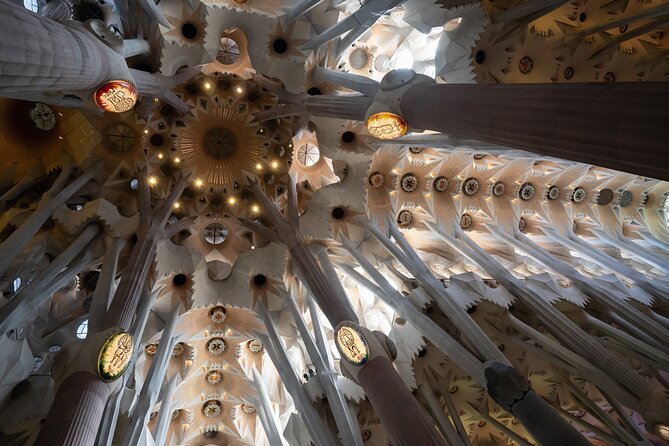Sagrada Familia and Guell Park Private Tour - Entering Sagrada Família with a guide