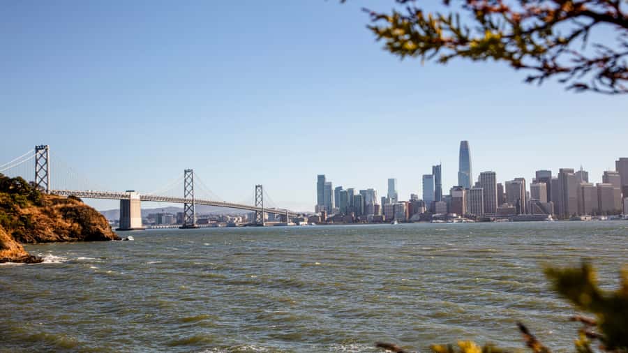 San Francisco: Local Distillery Cocktail Class - The best reasons to book, and the fair warnings