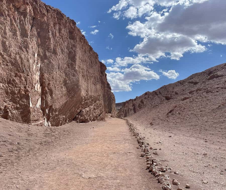 San Pedro de Atacama Tour Guiado Valle de la Luna & Cocktail - Key points to know before you book