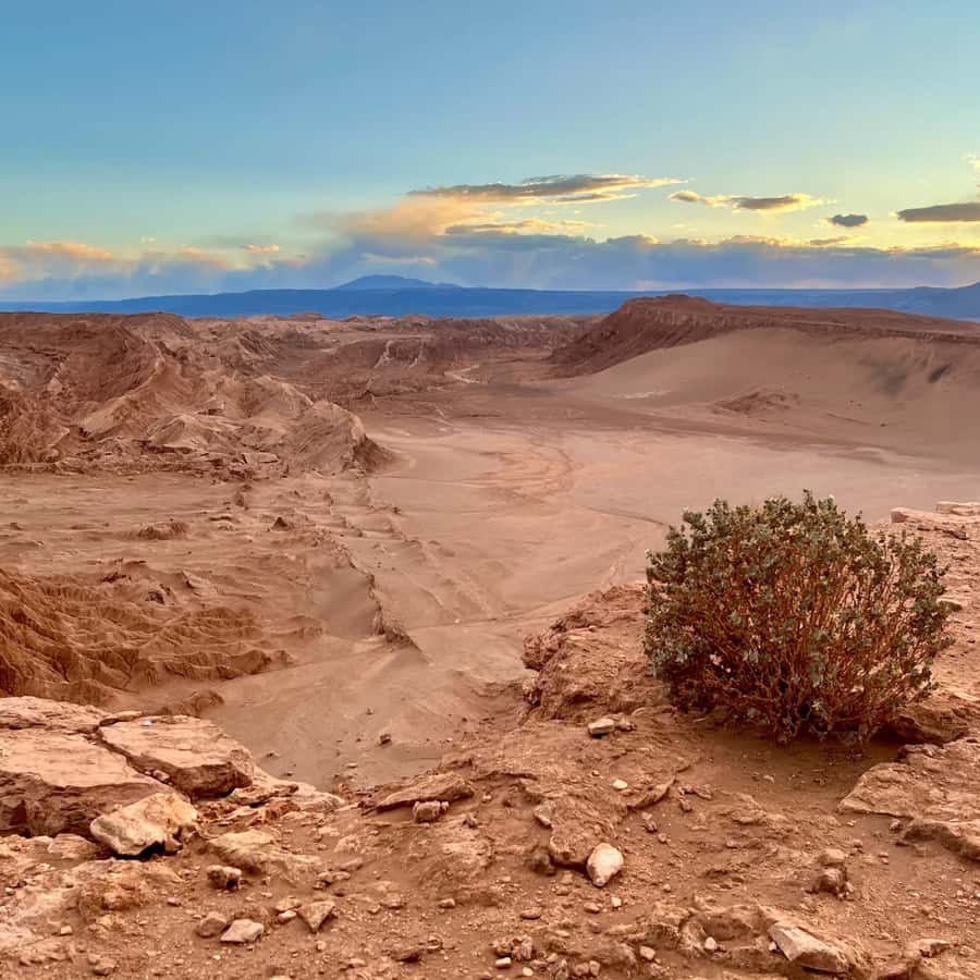 San Pedro de Atacama Tour Guiado Valle de la Luna & Cocktail - Who will enjoy this tour most