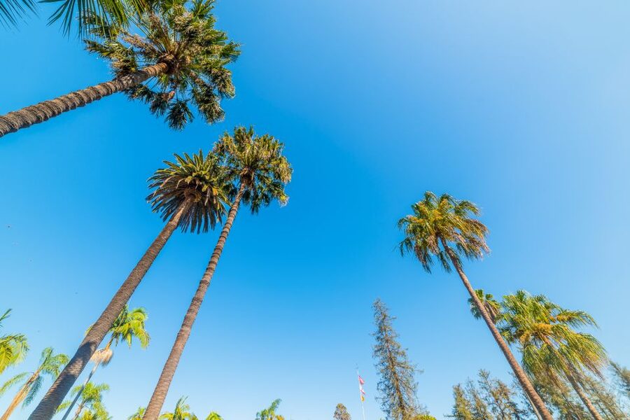 Santa Barbara: 3-Hour Cocktail and History Walking Tour - Is $85 a fair price?