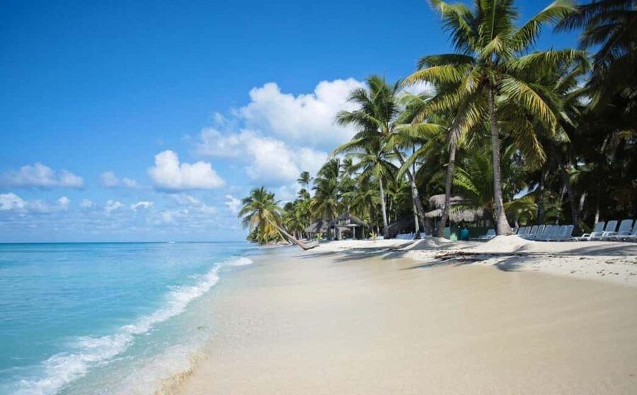 Saona Island all day with lunch and open bar departing from Punta Cana - The speedboat return to Bayahibe