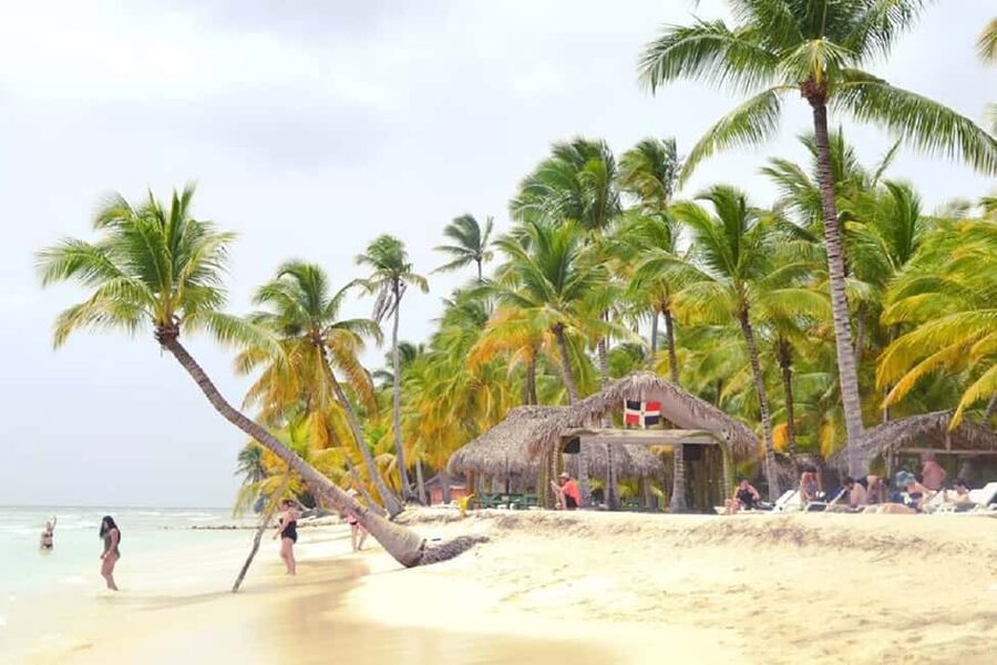 SAONA ISLAND: Catamaran Boat with Open Bar, Lunch and More.. - Should you book the Saona Island tour?