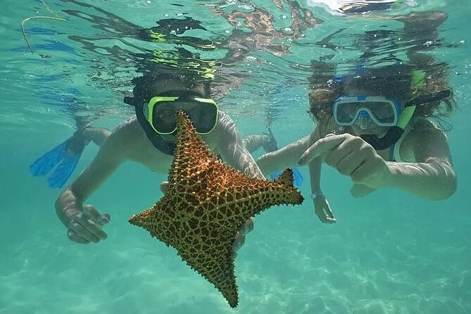 Saona Island Day Trip From Punta Cana with Lunch and Open Bar - Key points at a glance