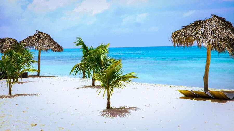 Saona Island Day Trip + Lunch + Open Bar from Punta Cana - Is $88 a good value?