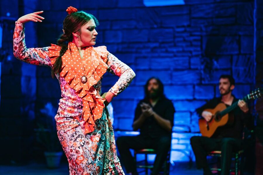 Seville: Baraka Sala Flamenca Show with Drink in Triana - Practical details for a smoother visit