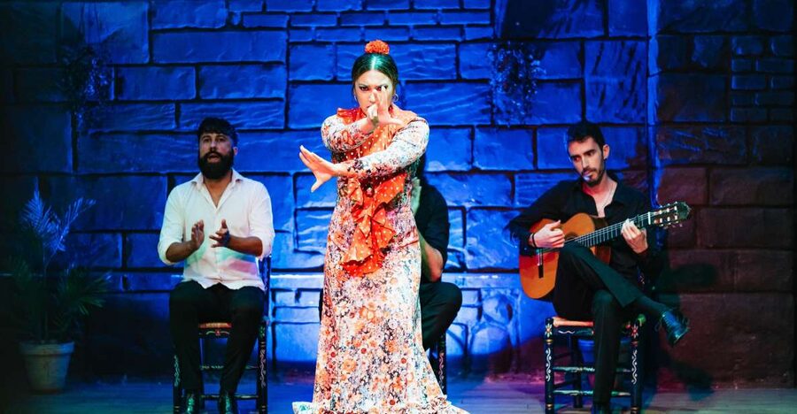 Seville: Baraka Sala Flamenca Show with Drink in Triana - The opening guitar, song, and dance