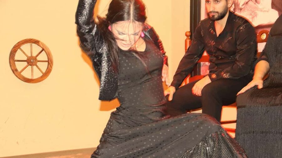 Seville: Flamenco Show & Cocktail Experience - Is $33 Good Value for an Hour?