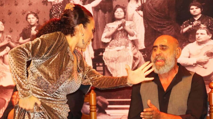 Seville: Flamenco Show & Cocktail Experience - Booking Tips for a Smoother Evening
