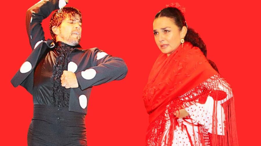 Seville: Flamenco Show & Cocktail Experience - The Drink Choice Changes the Experience